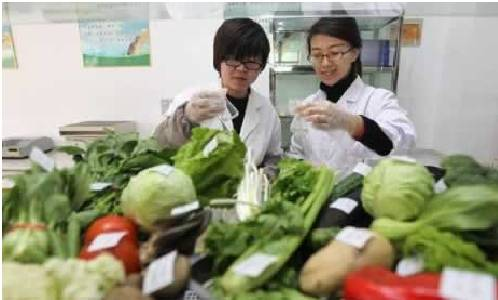 重庆GAP控制农药残留的基本原则
